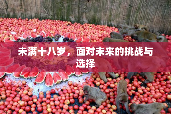 未满十八岁，面对未来的挑战与选择