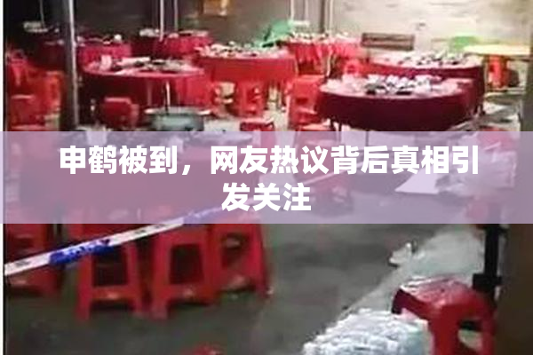 申鹤被到，网友热议背后真相引发关注