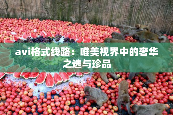 avi格式线路：唯美视界中的奢华之选与珍品