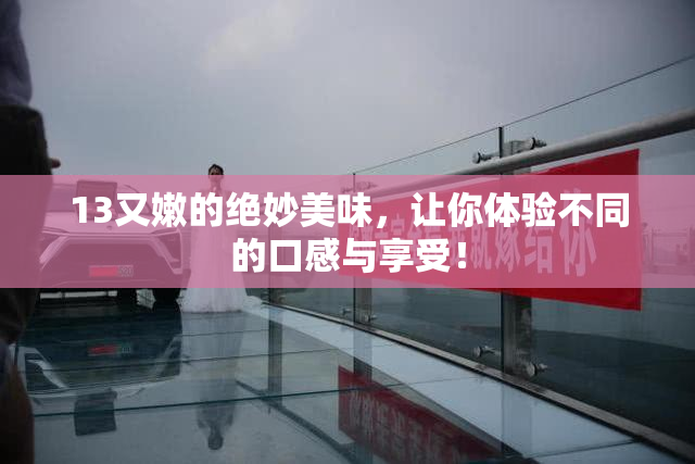 13又嫩的绝妙美味，让你体验不同的口感与享受！