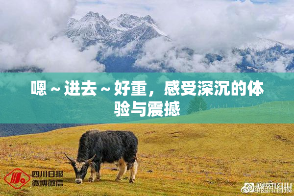 嗯～进去～好重，感受深沉的体验与震撼
