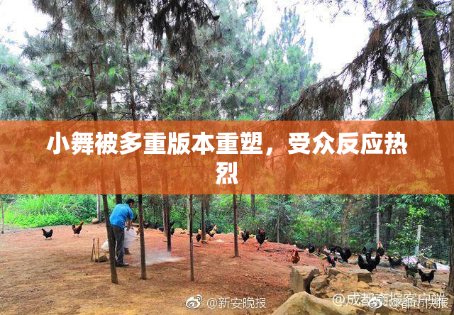 小舞被多重版本重塑，受众反应热烈