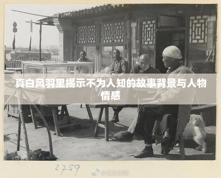真白风羽里揭示不为人知的故事背景与人物情感