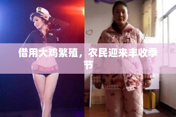 借用大鸡繁殖，农民迎来丰收季节