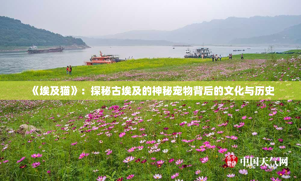《埃及猫》：探秘古埃及的神秘宠物背后的文化与历史