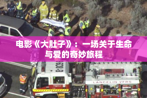 电影《大肚子》：一场关于生命与爱的奇妙旅程