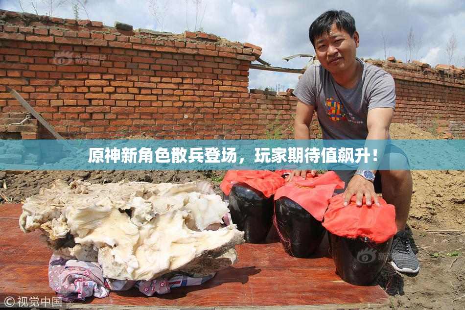 原神新角色散兵登场，玩家期待值飙升！