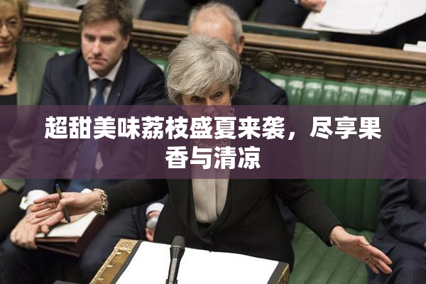 超甜美味荔枝盛夏来袭，尽享果香与清凉