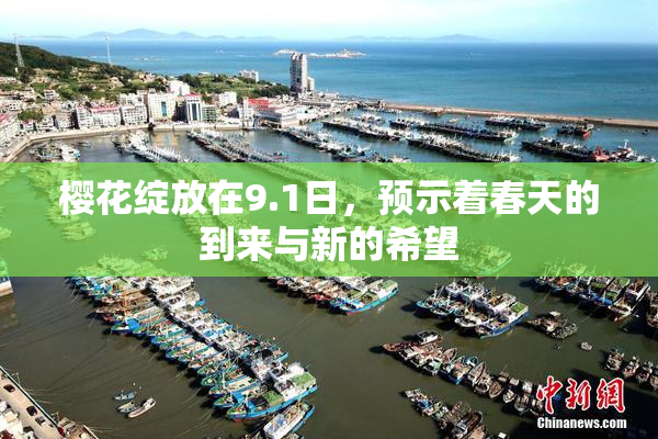 樱花绽放在9.1日，预示着春天的到来与新的希望
