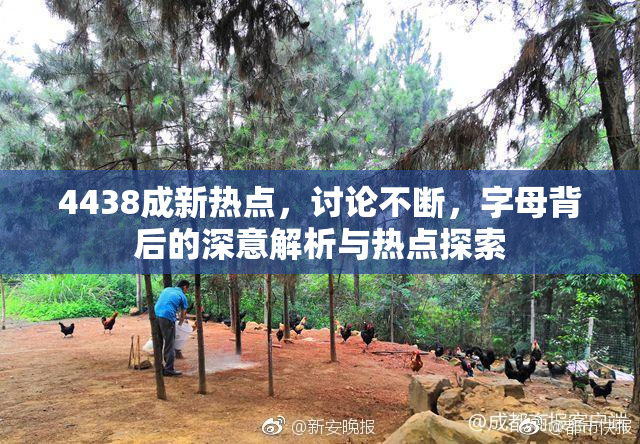 4438成新热点，讨论不断，字母背后的深意解析与热点探索