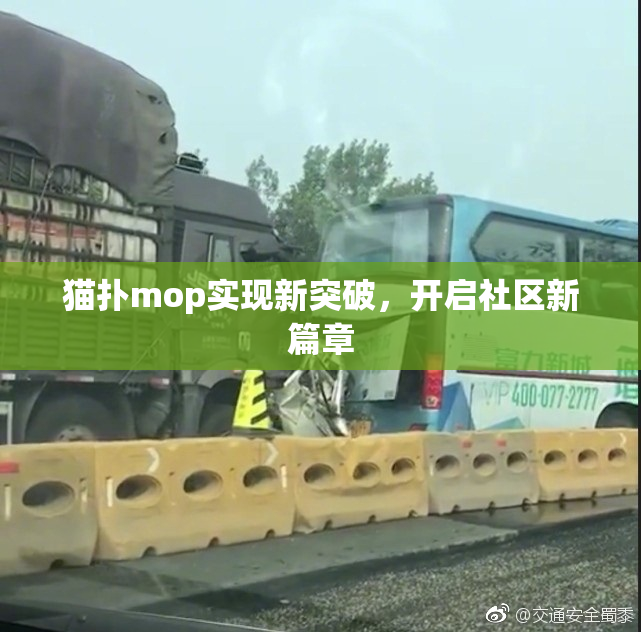 猫扑mop实现新突破，开启社区新篇章