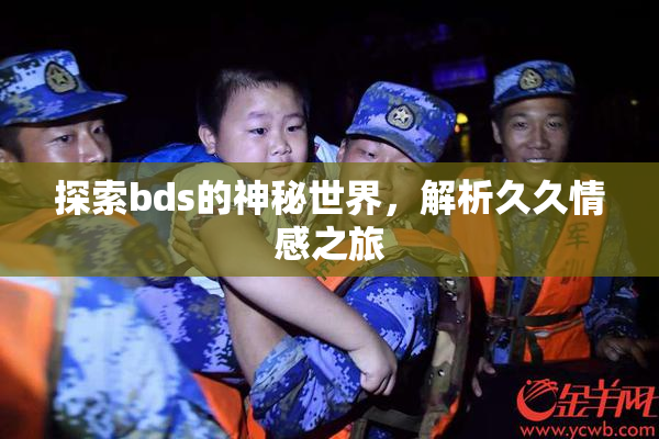 探索bds的神秘世界，解析久久情感之旅