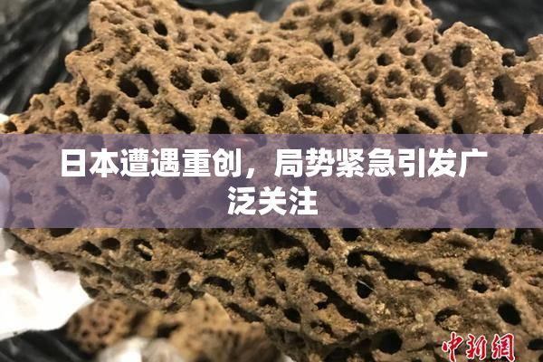 日本遭遇重创，局势紧急引发广泛关注