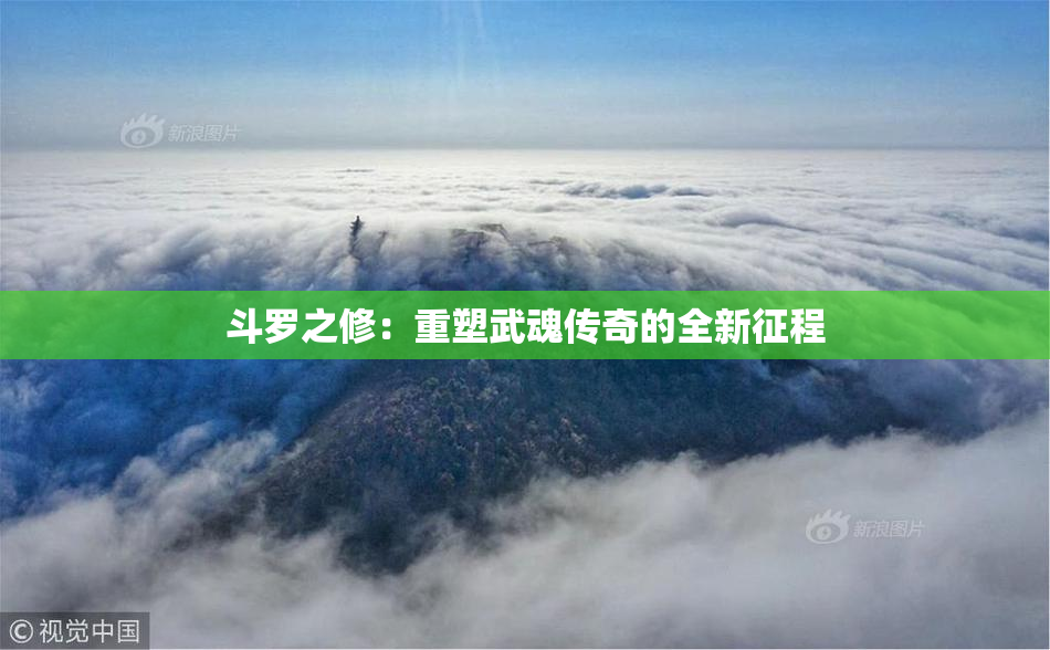斗罗之修：重塑武魂传奇的全新征程