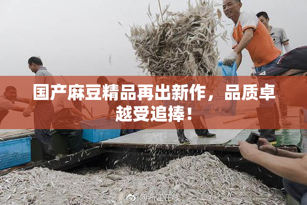 国产麻豆精品再出新作，品质卓越受追捧！