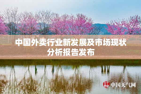 中国外卖行业新发展及市场现状分析报告发布