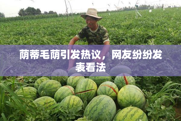 荫蒂毛荫引发热议，网友纷纷发表看法