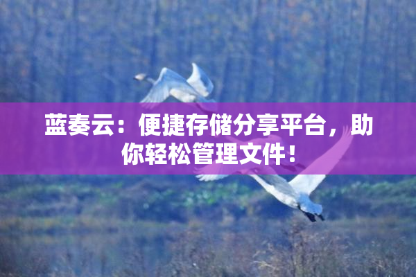 蓝奏云：便捷存储分享平台，助你轻松管理文件！