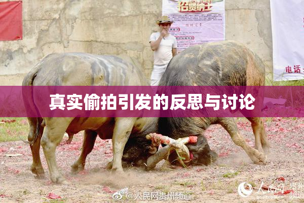 真实偷拍引发的反思与讨论