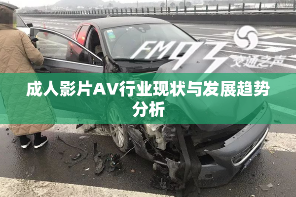 成人影片AV行业现状与发展趋势分析