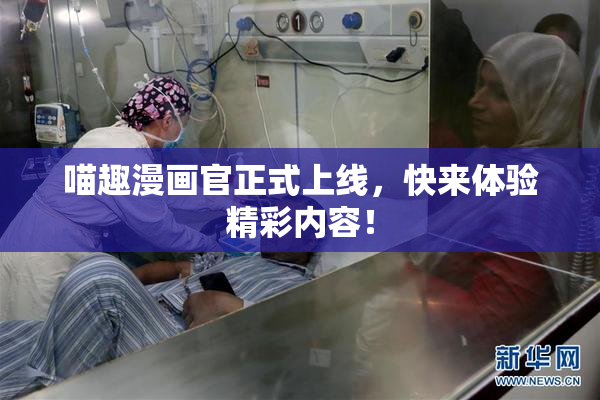 喵趣漫画官正式上线，快来体验精彩内容！