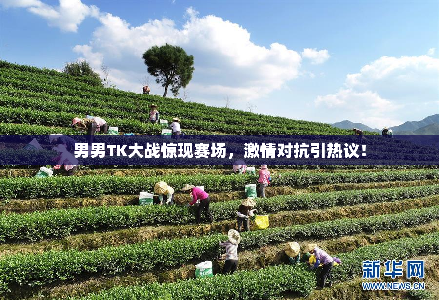 男男TK大战惊现赛场，激情对抗引热议！