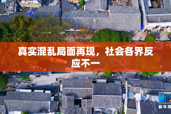 真实混乱局面再现，社会各界反应不一