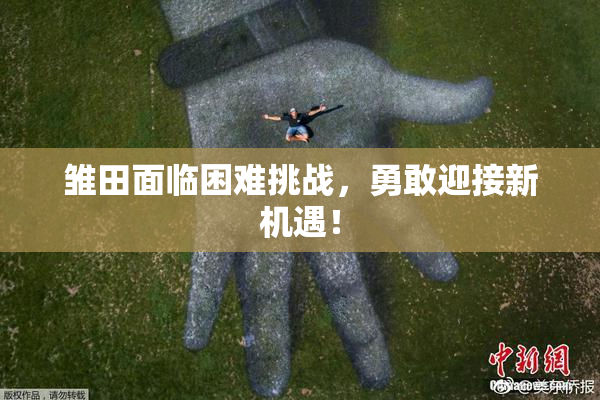雏田面临困难挑战，勇敢迎接新机遇！