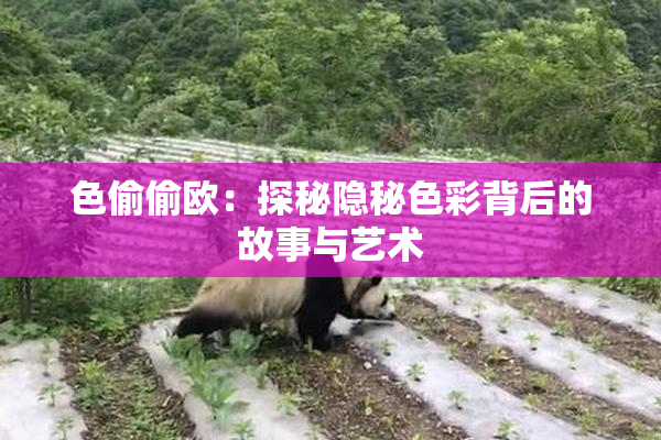 色偷偷欧：探秘隐秘色彩背后的故事与艺术