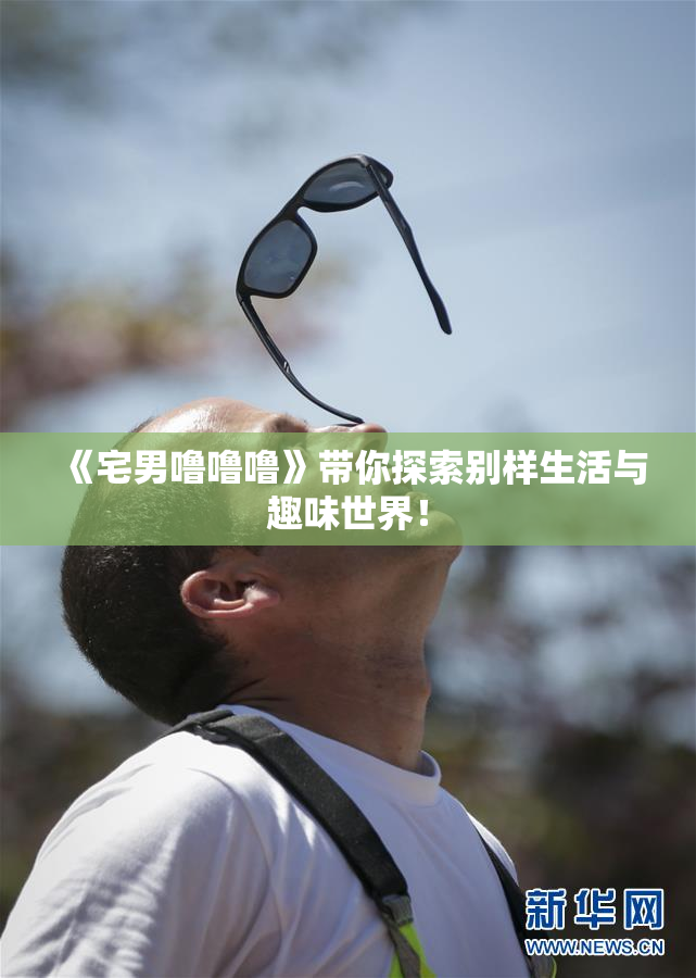 《宅男噜噜噜》带你探索别样生活与趣味世界！