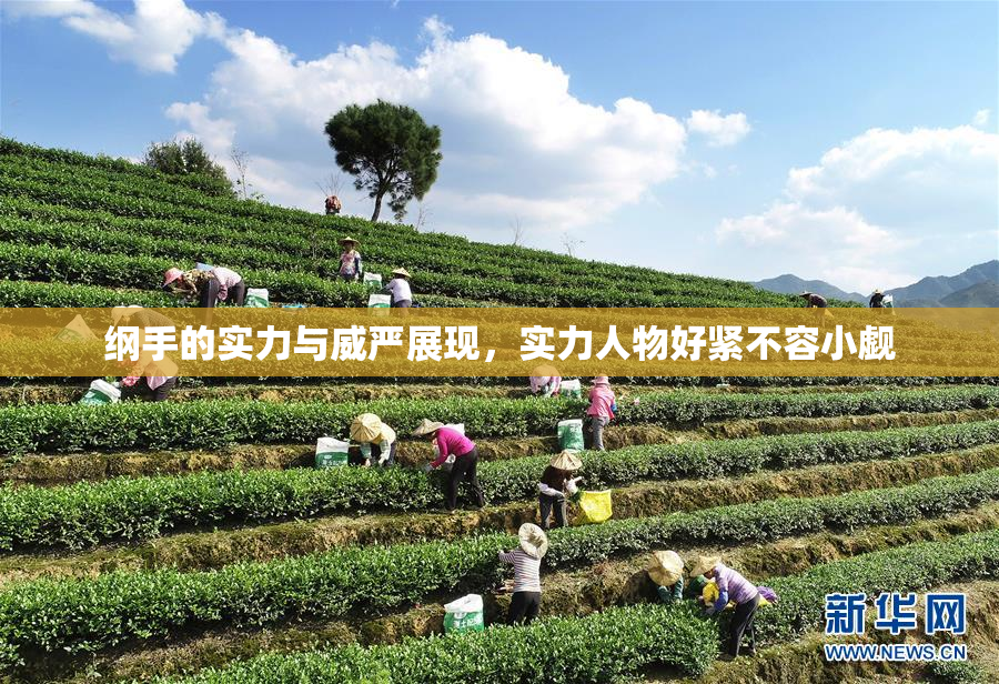 纲手的实力与威严展现，实力人物好紧不容小觑
