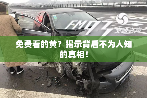 免费看的黄？揭示背后不为人知的真相！