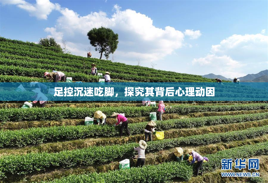 足控沉迷吃脚，探究其背后心理动因