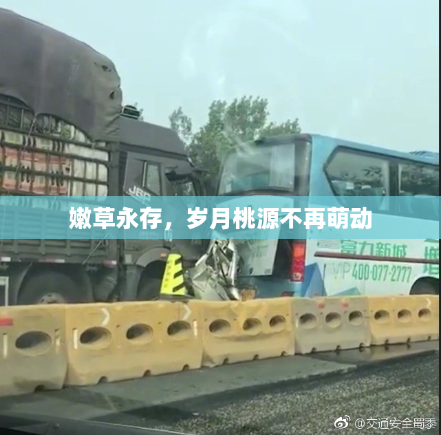 嫩草永存，岁月桃源不再萌动