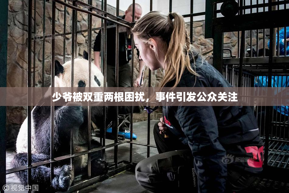 少爷被双重两根困扰，事件引发公众关注