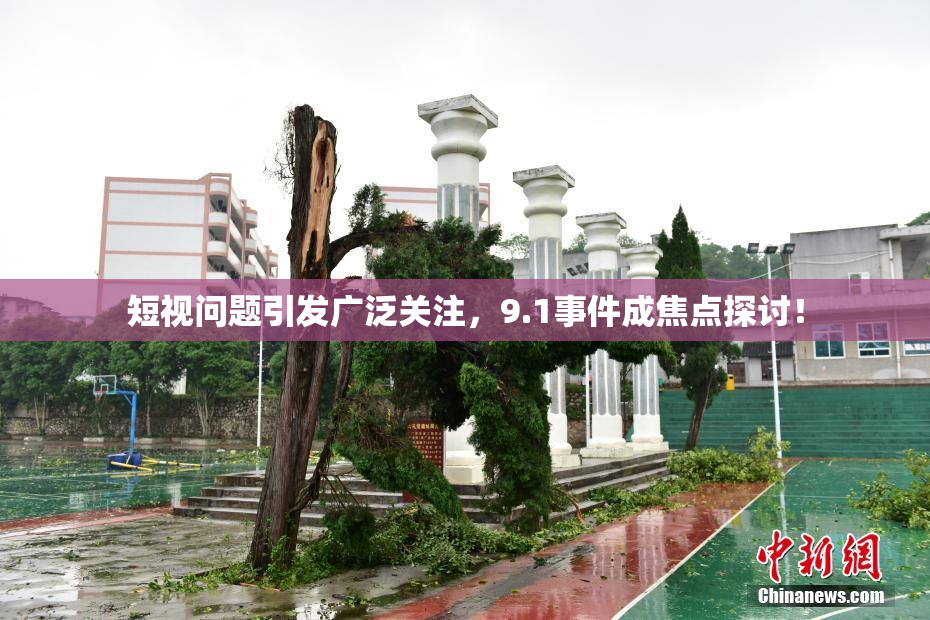短视问题引发广泛关注，9.1事件成焦点探讨！