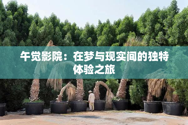 午觉影院：在梦与现实间的独特体验之旅