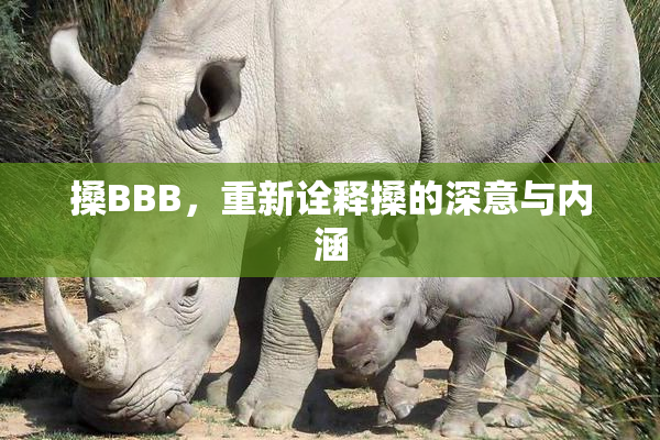 搡BBB，重新诠释搡的深意与内涵