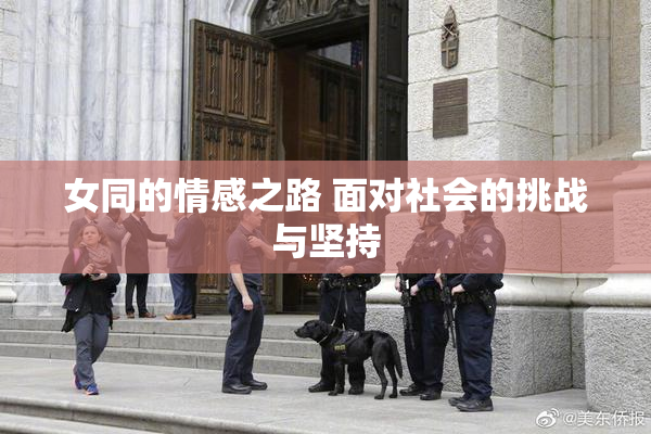 女同的情感之路 面对社会的挑战与坚持