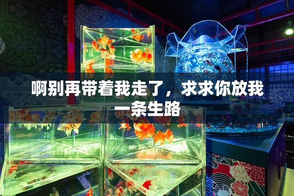 啊别再带着我走了，求求你放我一条生路