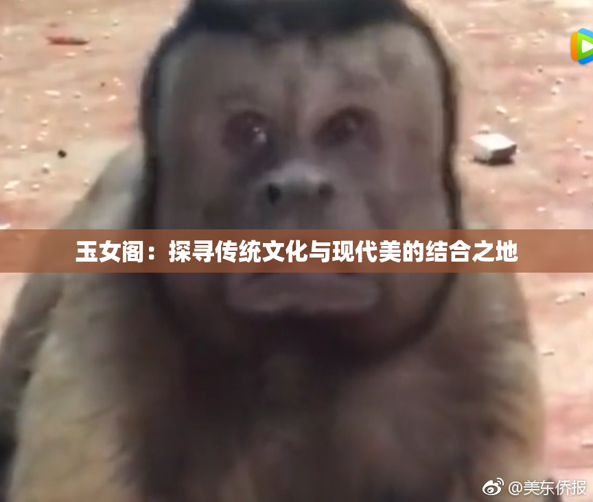 玉女阁：探寻传统文化与现代美的结合之地