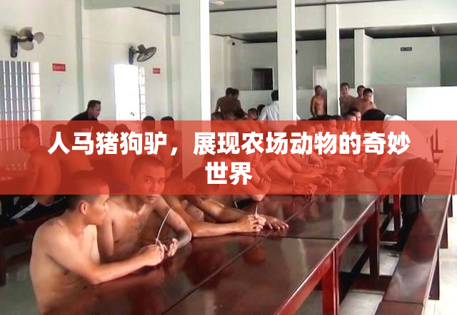 人马猪狗驴，展现农场动物的奇妙世界