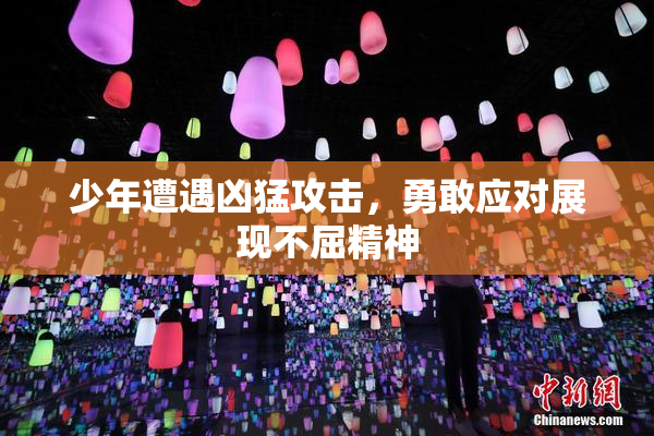 少年遭遇凶猛攻击，勇敢应对展现不屈精神