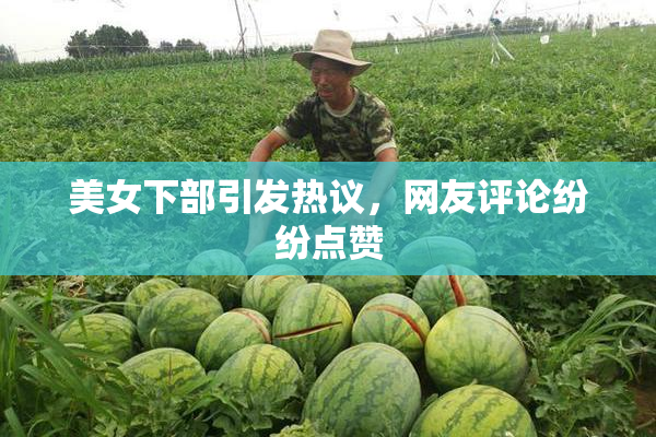 美女下部引发热议，网友评论纷纷点赞
