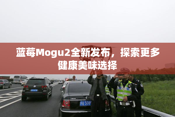 蓝莓Mogu2全新发布，探索更多健康美味选择