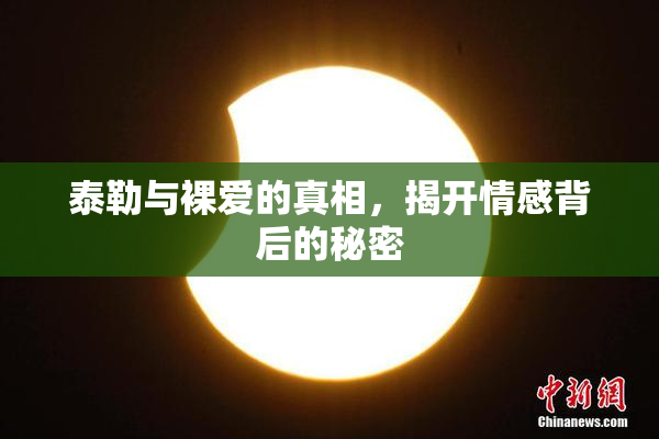 泰勒与裸爱的真相，揭开情感背后的秘密