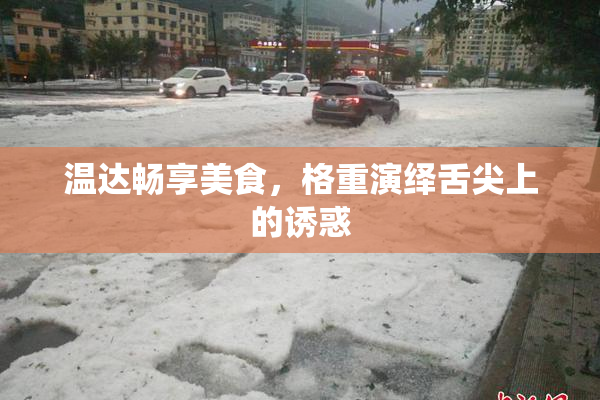 温达畅享美食，格重演绎舌尖上的诱惑