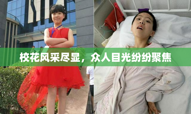 校花风采尽显，众人目光纷纷聚焦