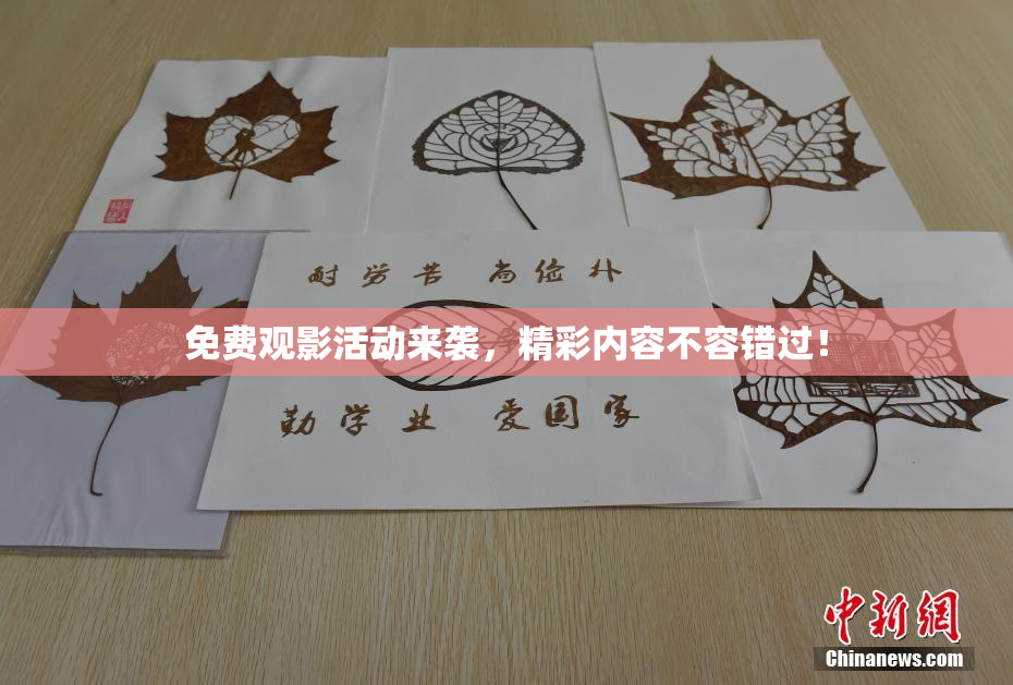 免费观影活动来袭，精彩内容不容错过！
