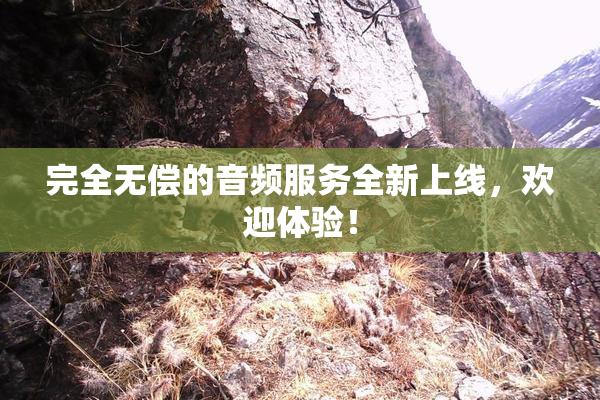 完全无偿的音频服务全新上线，欢迎体验！